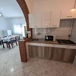 In - Balaton 52987 زاماردي