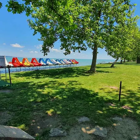 In - Balaton 52987 *